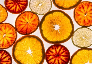 Orangen, Zitronen